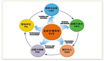 企業(yè)管理專(zhuān)業(yè)的區(qū)別